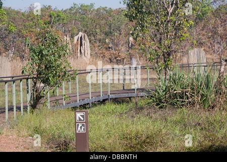 Giant Magnetic termite mounds nel parco nazionale di Litchfield,l'australia Foto Stock