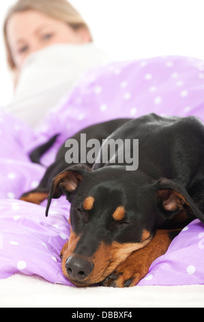 Donna giaceva a letto con il cane Foto Stock