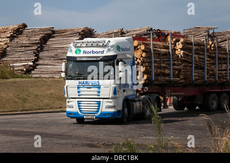 Harpers Scottish Tree carrelli di registrazione; emissioni dalla bioenergia Norbord impianto di trasformazione Inverness - Morayhill, Dalcross, Invernessshire, Scotland, Regno Unito Foto Stock