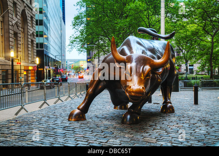 La ricarica Bull scultura in New York City. La scultura è sia una popolare destinazione turistica che attira migliaia di persone. Foto Stock