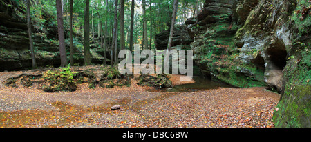 Una vista della gola durante l autunno a Scenic Old Man's Cave del parco statale nel Hocking Hills la regione centrale del Ohio, Stati Uniti d'America Foto Stock