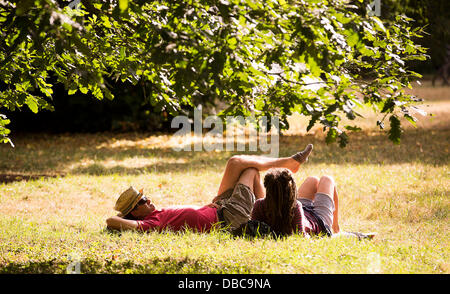 Malmesbury, Regno Unito. 28 Luglio, 2013. Due persone di rilassarsi al sole nell'arboreto del festival Womad in Charlton Park vicino a Malmesbury nel Wiltshire. Il world music festival attira quasi 40.000 persone alla posizione rurale. Credito: Adam Gasson/Alamy Live News Foto Stock