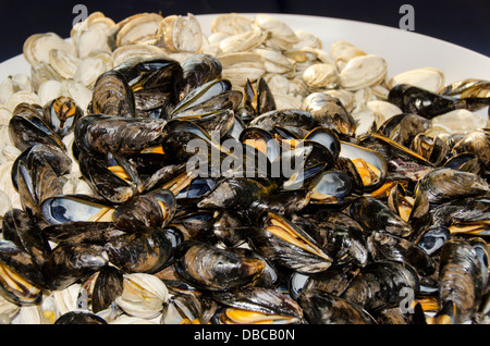 Massachusetts, Martha's Vineyard, Vineyard Haven. Tradizionale New England clam cuocere. Piastra del le vongole cotte al vapore. Foto Stock