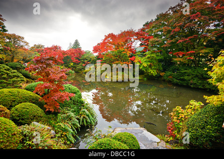 Il fogliame di autunno in Nikko, Giappone. Foto Stock