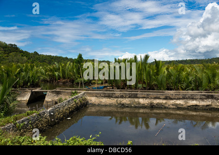 Bacino idrico nel paesaggio rurale di Isola di Bohol, Filippine Foto Stock