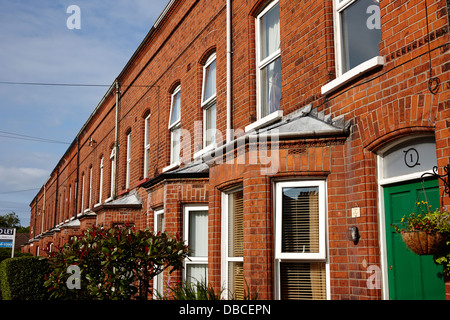 Vittoriana di mattoni rossi di case a schiera a Belfast Irlanda del Nord Regno Unito Foto Stock