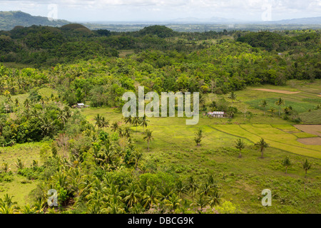 Tipico paesaggio sull isola di Bohol, Filippine Foto Stock