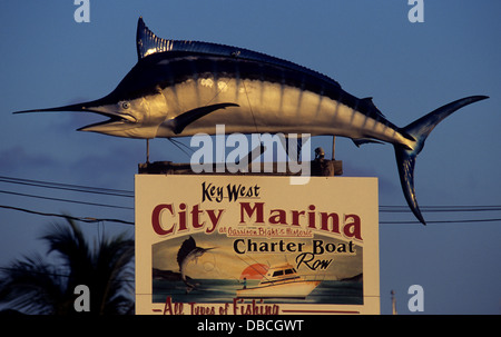 Blue Marlin segno in barca a Noleggio riga Key West Florida Keys Foto Stock