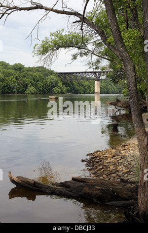 Un ponte ferroviario oltre il Fiume Mississippi vicino a St. Paul, Minnesota. Foto Stock