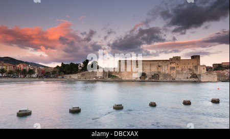 Chateau Royal, Collioure, Pyrénées-Orientales, Languedoc-Roussillon, Francia Foto Stock