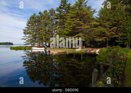 Barche in legno e le canoe sono ormeggiati sul Sebago lago del sud di casco, Maine Foto Stock