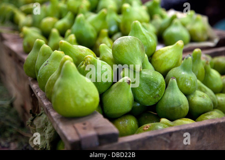fichi verdi Foto Stock