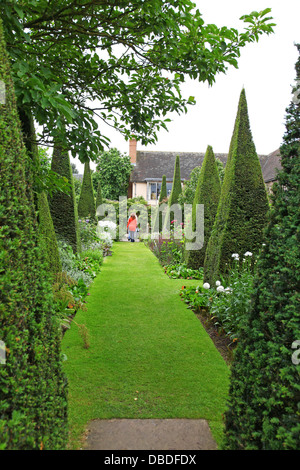 Ritagliato yew guglie del Yew a piedi a Wollerton Old Hall Giardini Giardino Wollerton Market Drayton Shropshire England Regno Unito Foto Stock