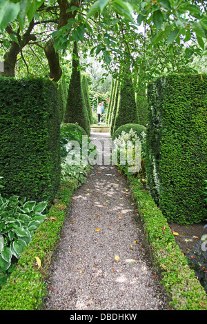 Ritagliato yew guglie del Yew a piedi a Wollerton Old Hall Giardini Giardino Wollerton Market Drayton Shropshire England Regno Unito Foto Stock