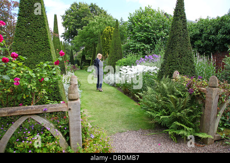 Una donna che guarda la piantagione e agganciata yew guglie del Yew a piedi a Wollerton Old Hall Giardini Giardino Wollerton Shropshire England Regno Unito Foto Stock