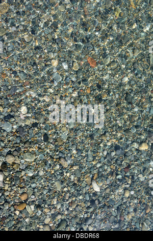 Ciottoli colorati a bordo delle acque nel mare cristallino mattina presto luce. consistenza perfetta o dello sfondo Foto Stock