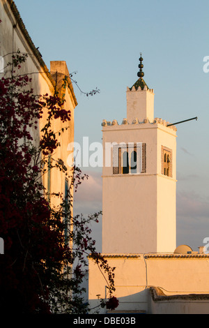 Moschea di Sidi Bou Said, Tunisia. Foto Stock