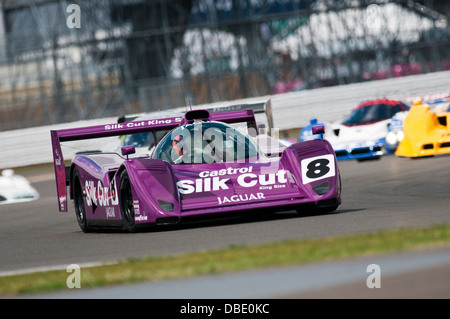 Nicolas Minassian guida la seta tagliati Jaguar XJR14 nel gruppo C gara Endurance al 2013 Silverstone Classic, 1° di finitura Foto Stock