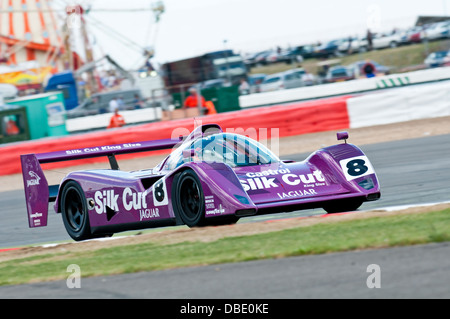 Nicolas Minassian guida la seta tagliati Jaguar XJR14 nel gruppo C gara Endurance al 2013 Silverstone Classic, 1° di finitura Foto Stock