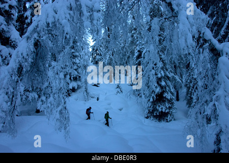 Escursioni con le racchette da neve in Les Houches Foto Stock