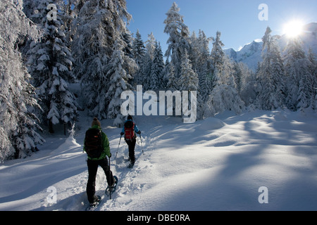 Escursioni con le racchette da neve in Les Houches Foto Stock