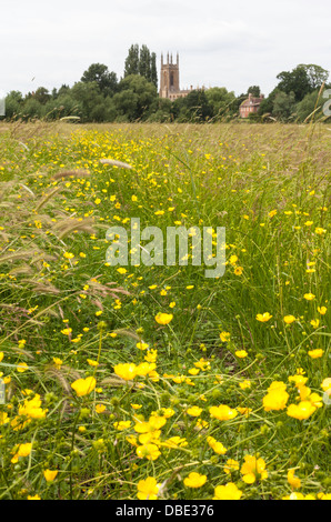 Prati fioriti a Charlecote Park guardando verso San Pietro ad Vincula Chiesa, Hampton Lucy, Warwickshire, Inghilterra, Regno Unito Foto Stock