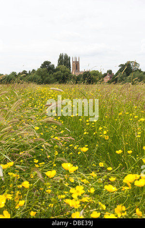 Prati fioriti a Charlecote Park guardando verso San Pietro ad Vincula Chiesa, Hampton Lucy, Warwickshire, Inghilterra, Regno Unito Foto Stock