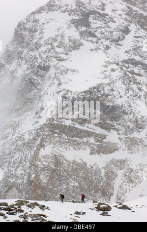 Gli escursionisti in una tempesta di neve con Piz trovatosi (3146m) dietro, visto da vicino Berghaus Diavolezza, Diavolezza, Grigioni, Svizzera Foto Stock