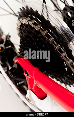 Primo piano della cassetta posteriore su una mountain bike. Foto Stock