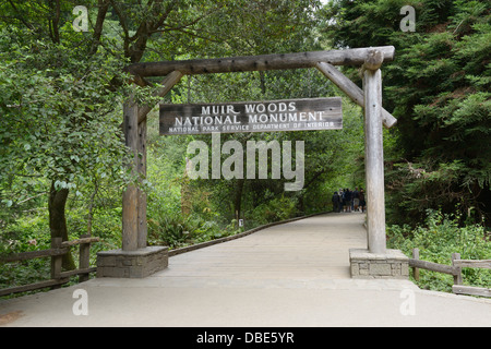 Muir Woods monumento nazionale Foto Stock