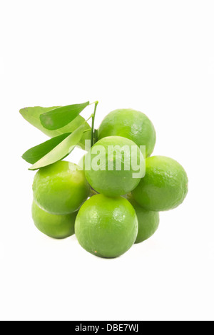 Organico fresco mazzetto limes isolati su sfondo bianco. Foto Stock