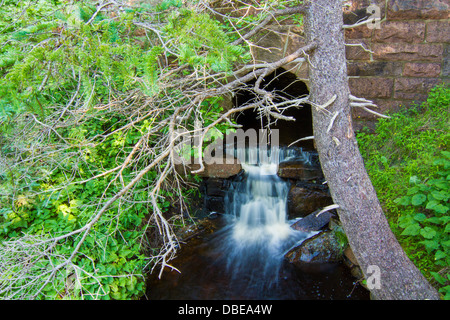 Cascata in Park Loop Road - Parco Nazionale di Acadia Foto Stock