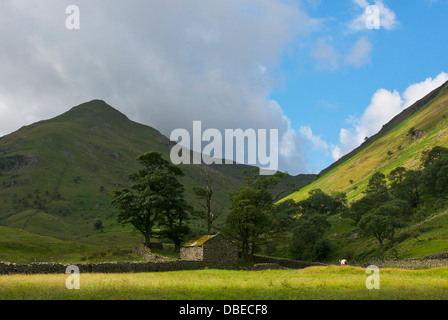 Campo granaio e hill - Medio Dodd - in Caiston Glen, vicino Hartsop, Parco Nazionale del Distretto dei Laghi, Cumbria, England Regno Unito Foto Stock