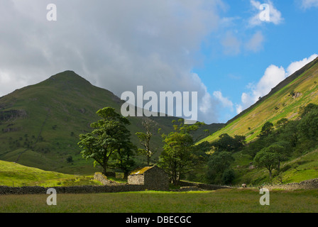 Campo granaio e hill - Medio Dodd - in Caiston Glen, vicino Hartsop, Parco Nazionale del Distretto dei Laghi, Cumbria, England Regno Unito Foto Stock