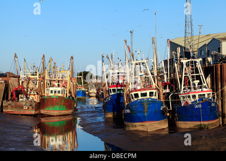 Kings Lynn, il porto e la flotta da pesca.Norfolk Inghilterra UK, imbarcazioni navi sulla banchina del porto industriale di porto di pesca docks dock Foto Stock