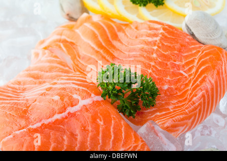 Filetti freschi di salmone su ghiaccio con le vongole e limone Foto Stock