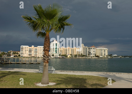 GOLDEN POINTE PARK BAYFRONT SKYLINE DRIVE centro di Sarasota costa del Golfo della Florida USA Foto Stock