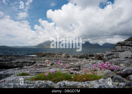 Cullins dalla spiaggia Elgol Isola di Skye, Ebridi Interne in Scozia, NEL REGNO UNITO LA006255 Foto Stock