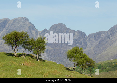 Cullins e betulle dalla strada Elgol Isola di Skye, Ebridi Interne in Scozia, NEL REGNO UNITO LA006260 Foto Stock