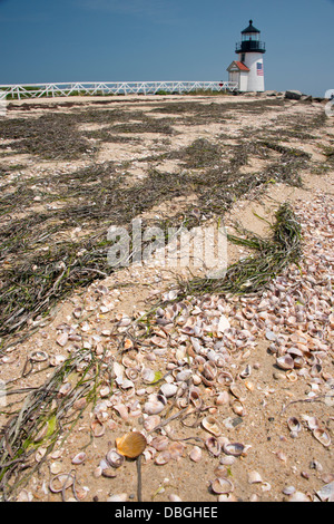 Massachusetts, Nantucket. Shell spiaggia coperta di fronte Brant Point Lighthouse, il secondo più antico faro in noi. Foto Stock