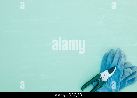 Forbici con guanti da giardinaggio Foto Stock