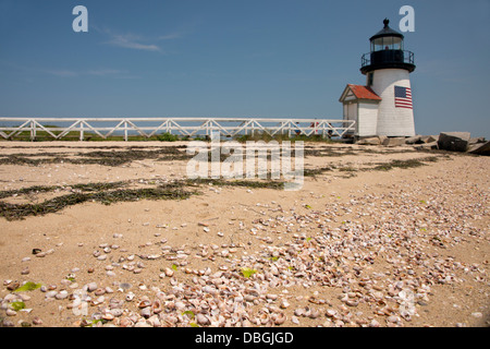 Massachusetts, Nantucket. Shell spiaggia coperta di fronte Brant Point Lighthouse, il secondo più antico faro in noi. Foto Stock