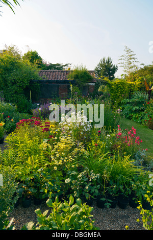 Tipico giardino inglese piante fiori densamente piantati confini Foto Stock