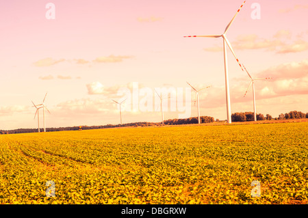 Una immagine di windturbine sulla giornata di sole Foto Stock