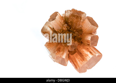 Aragonite vicino sul bianco. Stack di messa a fuoco. Foto Stock