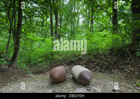 Francia, Pas de Calais Eperlecques, Le Blockhaus de Eperlecques, durante la Seconda Guerra Mondiale tedesco V2 rocket bunker, bombe. Foto Stock