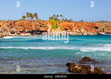 Scogliere rosso con palme sulla costa meridionale di Kauai, Hawaii. Foto Stock