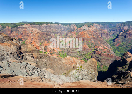 Il Canyon di Waimea vista in Kauai, Hawaii dal principale lookout. Foto Stock