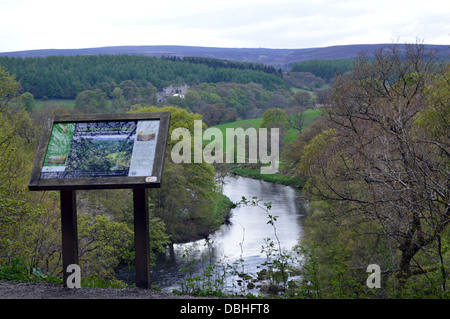 Punto di vista che si affaccia sul fiume Wharfe dall 'hotel Astrid parte di legno del Dales Modo lunga distanza sentiero Wharfedale Yorkshire Foto Stock