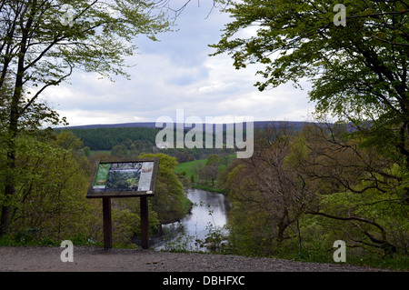 Punto di vista che si affaccia sul fiume Wharfe dall 'hotel Astrid parte di legno del Dales Modo lunga distanza sentiero Wharfedale Yorkshire Foto Stock